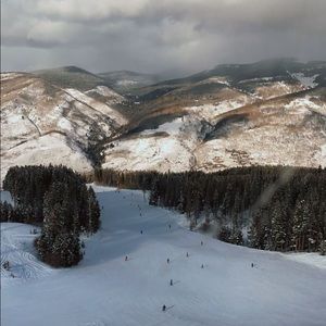 Meet your Posher, Amelia